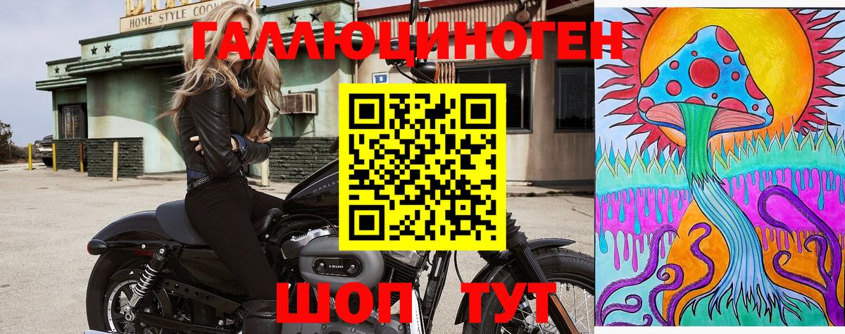 Псилоцибиновые грибы Psilocybine cubensis  Вход с VPN  купить   Биробиджан 